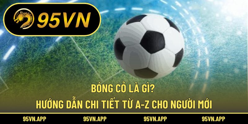 Bóng Cỏ Là Gì? Hướng Dẫn Chi Tiết Từ A-Z Cho Người Mới