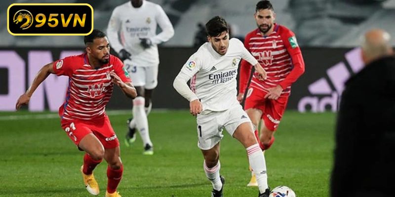 Thực hiện chiến thuật tối ưu nguồn lợi nhuận